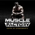 muscle factory